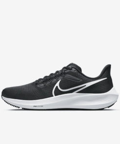 Giày chạy nam - Nike pegasus 39 DH4071-001