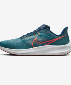 Nike pegasus 39 DH4071-302- Giày chạy nam