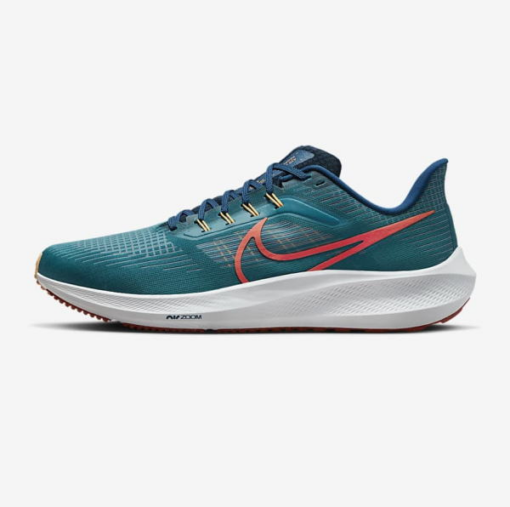 Nike pegasus 39 DH4071-302- Giày chạy nam