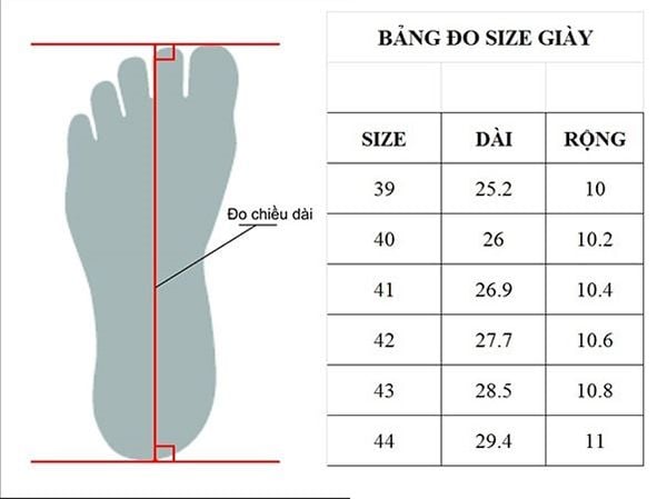 Lịch Sử Giày Búp Bê – Cách Đo Size Giày Búp Bê Chuẩn